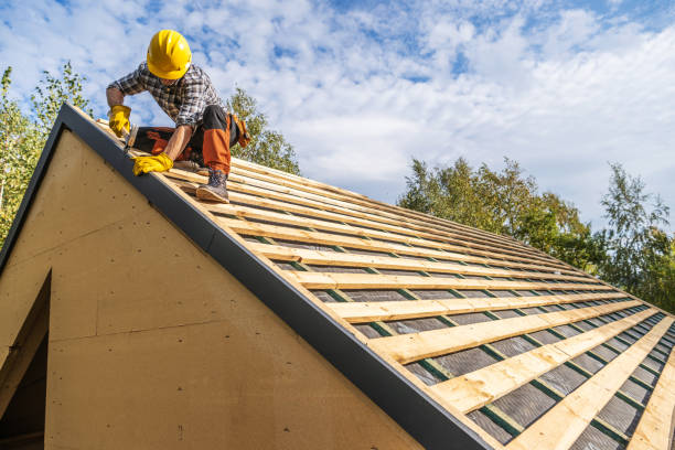Best Flat Roof Repair Services  in Otsego, MN