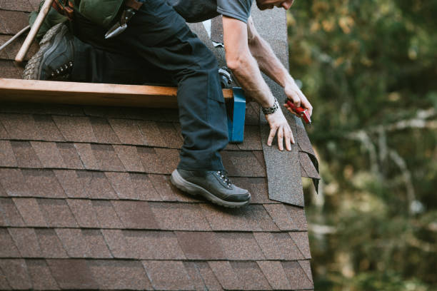 Quick and Trustworthy Emergency Roof Repair Services in Otsego, MN